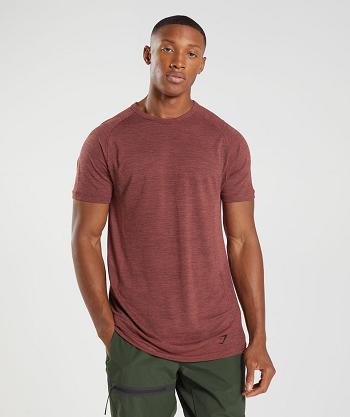 Pánské T Shirts Gymshark Retake Seamless Růžové Hnědé Černé | CZ 2468DFM